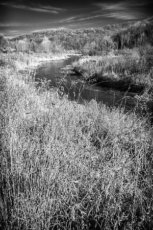 Infrared Pleasant Creek