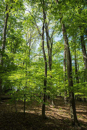 Tom Run Preserve