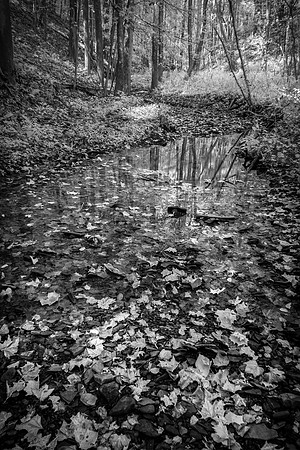 Mason Dixon Historical Park IR