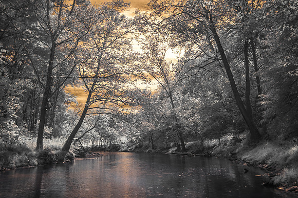 Mason Dixon Historical Park IR