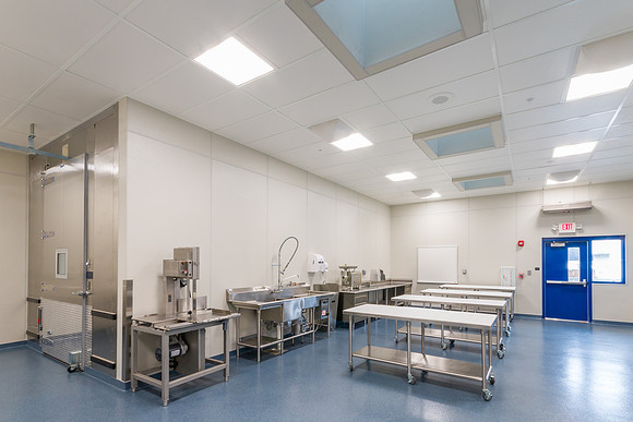 Meat Lab