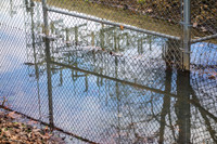 On the Marion County Trail