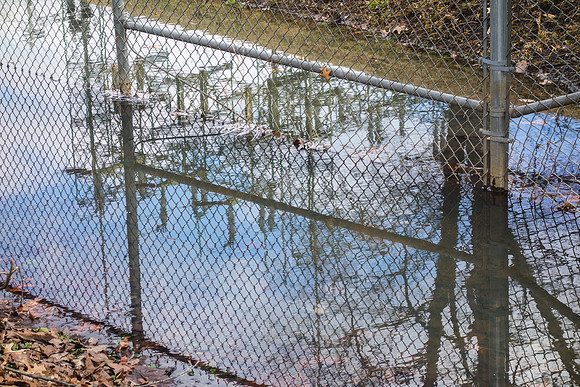 On the Marion County Trail
