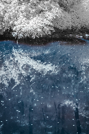 Prickett Creek Infrared