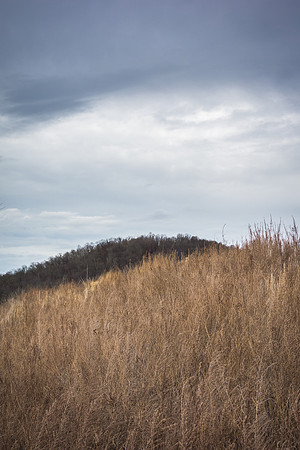 Tygart Lake State Park