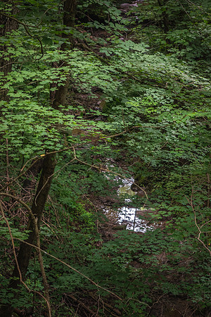 Along the Marion County Trail