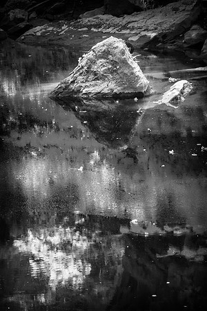 Prickett Creek Infrared